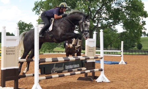Why You Need to Buy Quality Horse Jump Equipment?
