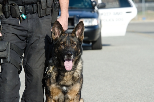 The Role of K9 Officers